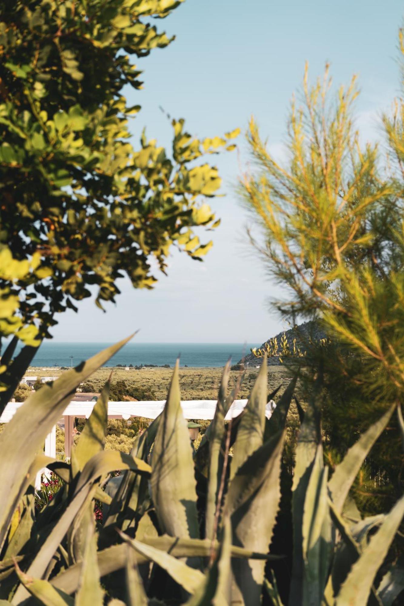 Agriturismo Giorgio Mattinata Ngoại thất bức ảnh